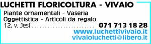Visualizza Inserzione