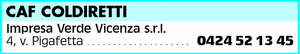 Visualizza Inserzione
