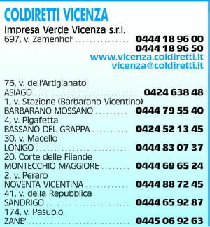 Visualizza Inserzione