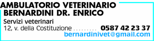 Visualizza Inserzione