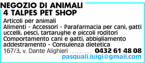 Visualizza Inserzione