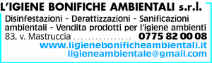Visualizza Inserzione