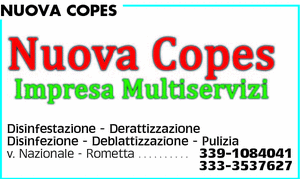 Visualizza Inserzione