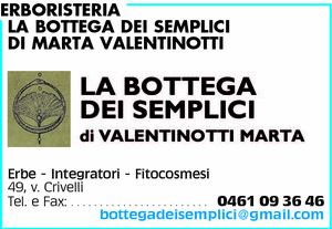 Visualizza Inserzione