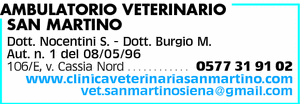 Visualizza Inserzione
