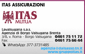 Visualizza Inserzione