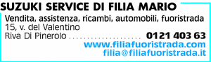 Visualizza Inserzione