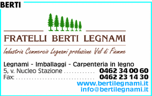 Visualizza Inserzione