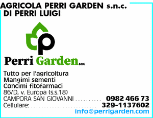 Visualizza Inserzione