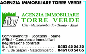 Visualizza Inserzione