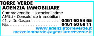 Visualizza Inserzione