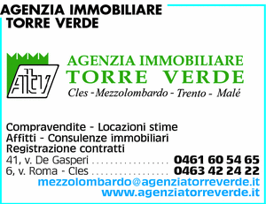 Visualizza Inserzione