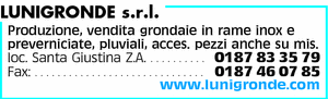 Visualizza Inserzione