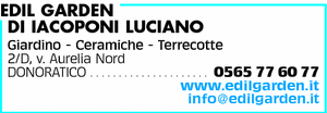 Visualizza Inserzione