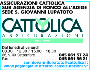 Visualizza Inserzione