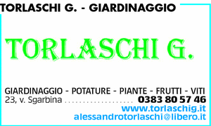 Visualizza Inserzione