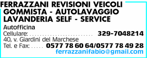 Visualizza Inserzione