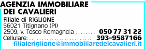 Visualizza Inserzione
