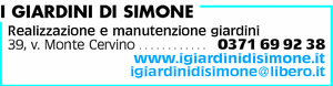 Visualizza Inserzione
