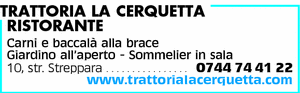Visualizza Inserzione