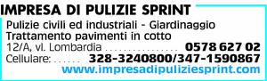 Visualizza Inserzione