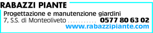 Visualizza Inserzione