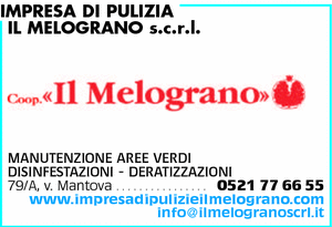 Visualizza Inserzione