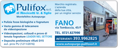 Visualizza Inserzione