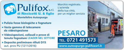 Visualizza Inserzione