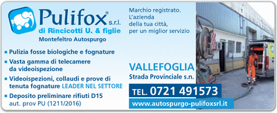 Visualizza Inserzione