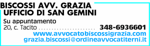 Visualizza Inserzione