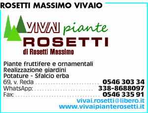 Visualizza Inserzione