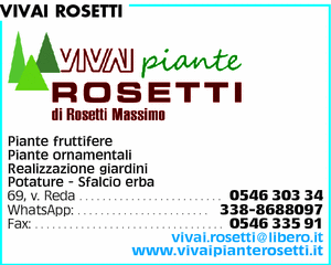 Visualizza Inserzione