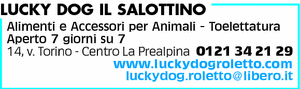 Visualizza Inserzione