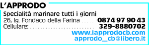 Visualizza Inserzione