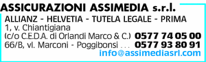 Visualizza Inserzione