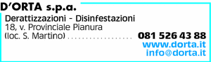 Visualizza Inserzione