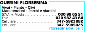 Visualizza Inserzione