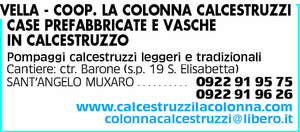 Visualizza Inserzione