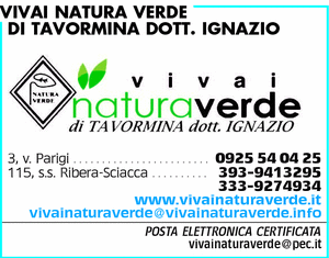 Visualizza Inserzione