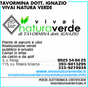 Visualizza Inserzione