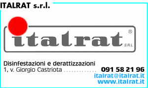 Visualizza Inserzione