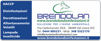 Visualizza Inserzione