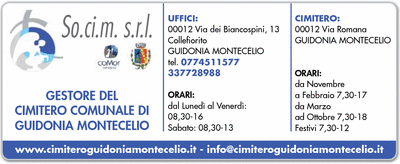 Visualizza Inserzione