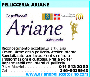Visualizza Inserzione