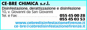 Visualizza Inserzione