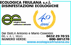 Visualizza Inserzione