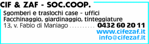 Visualizza Inserzione