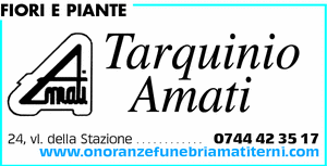 Visualizza Inserzione