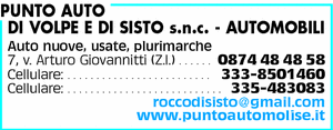 Visualizza Inserzione